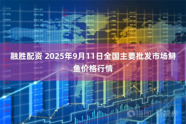 融胜配资 2025年9月11日全国主要批发市场鲟鱼价格行情
