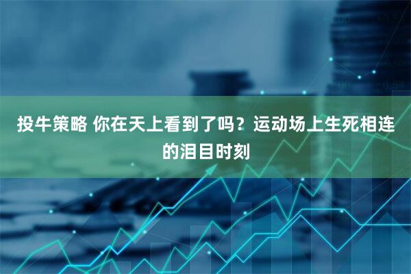 投牛策略 你在天上看到了吗？运动场上生死相连的泪目时刻