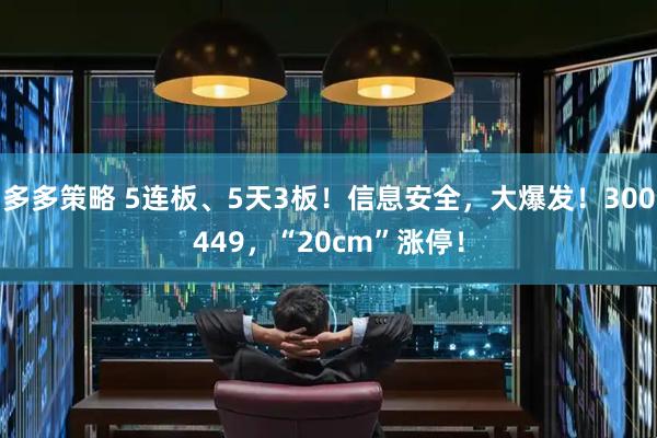 多多策略 5连板、5天3板！信息安全，大爆发！300449，“20cm”涨停！