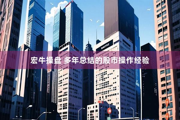 宏牛操盘 多年总结的股市操作经验