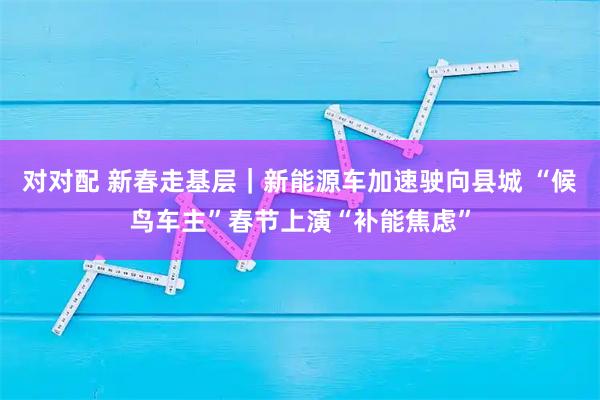 对对配 新春走基层｜新能源车加速驶向县城 “候鸟车主”春节上演“补能焦虑”